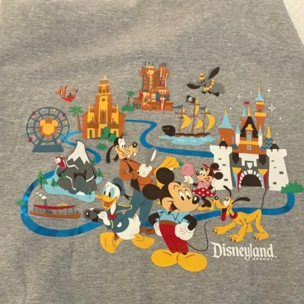 🏰 Disneyland Resort Hoodie – Size Medium, Metallic Foil Graphic